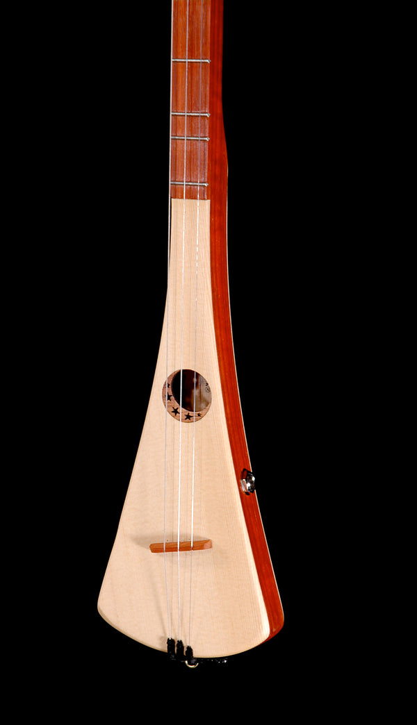 D-33 Spruce with Pickup - Strumstick.com