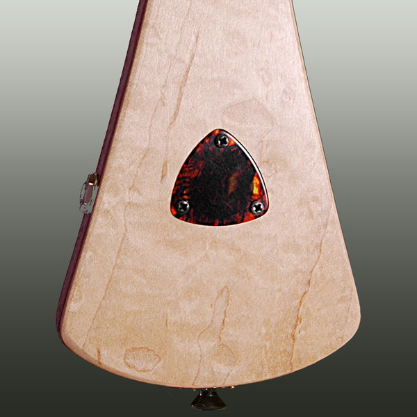 Builtin Electric Pickup RetroFit