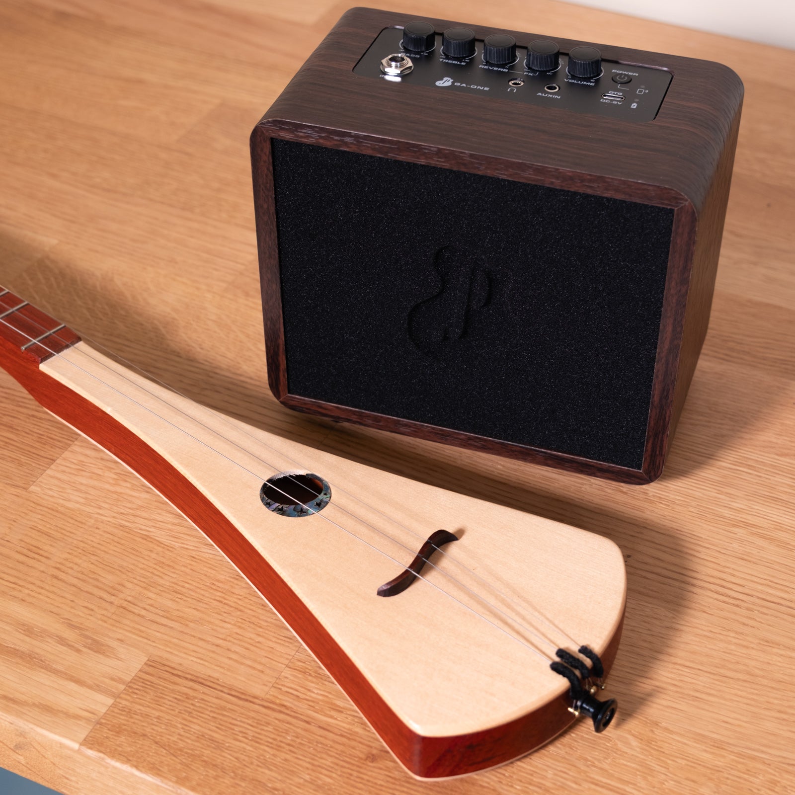 Strumstick Instrument Strumstick and Amp Package - Strumstick.com