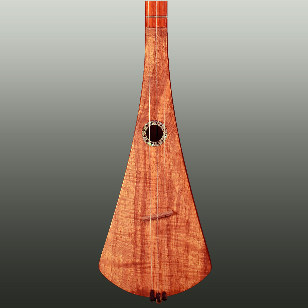 G-31 Super G Strumstick
