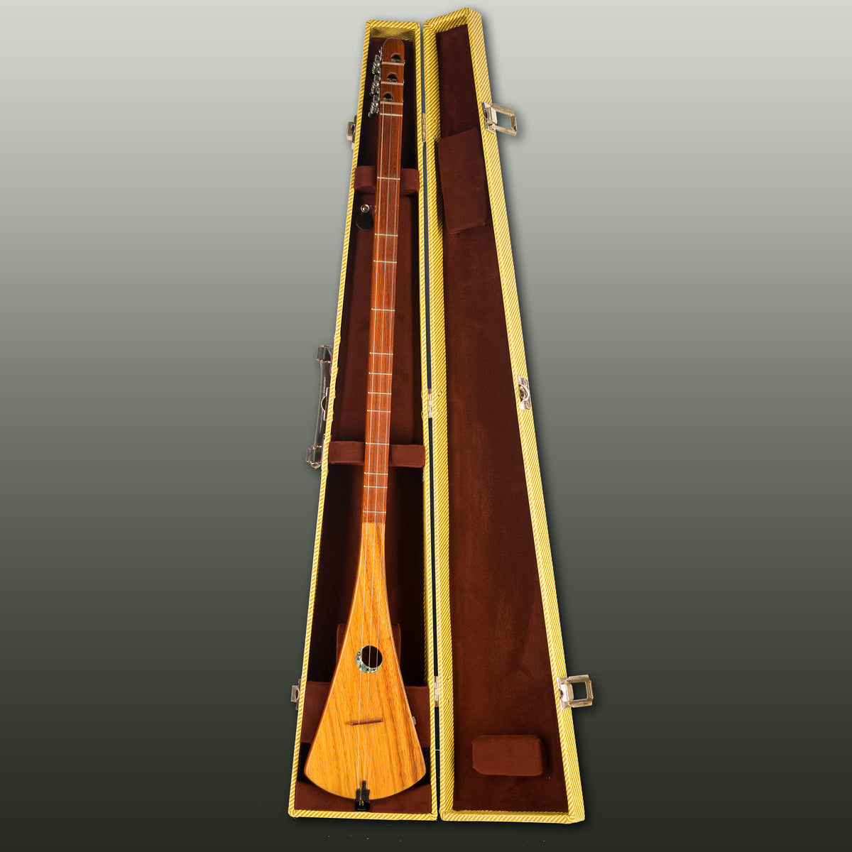 Holiday Special Strumstick 2025