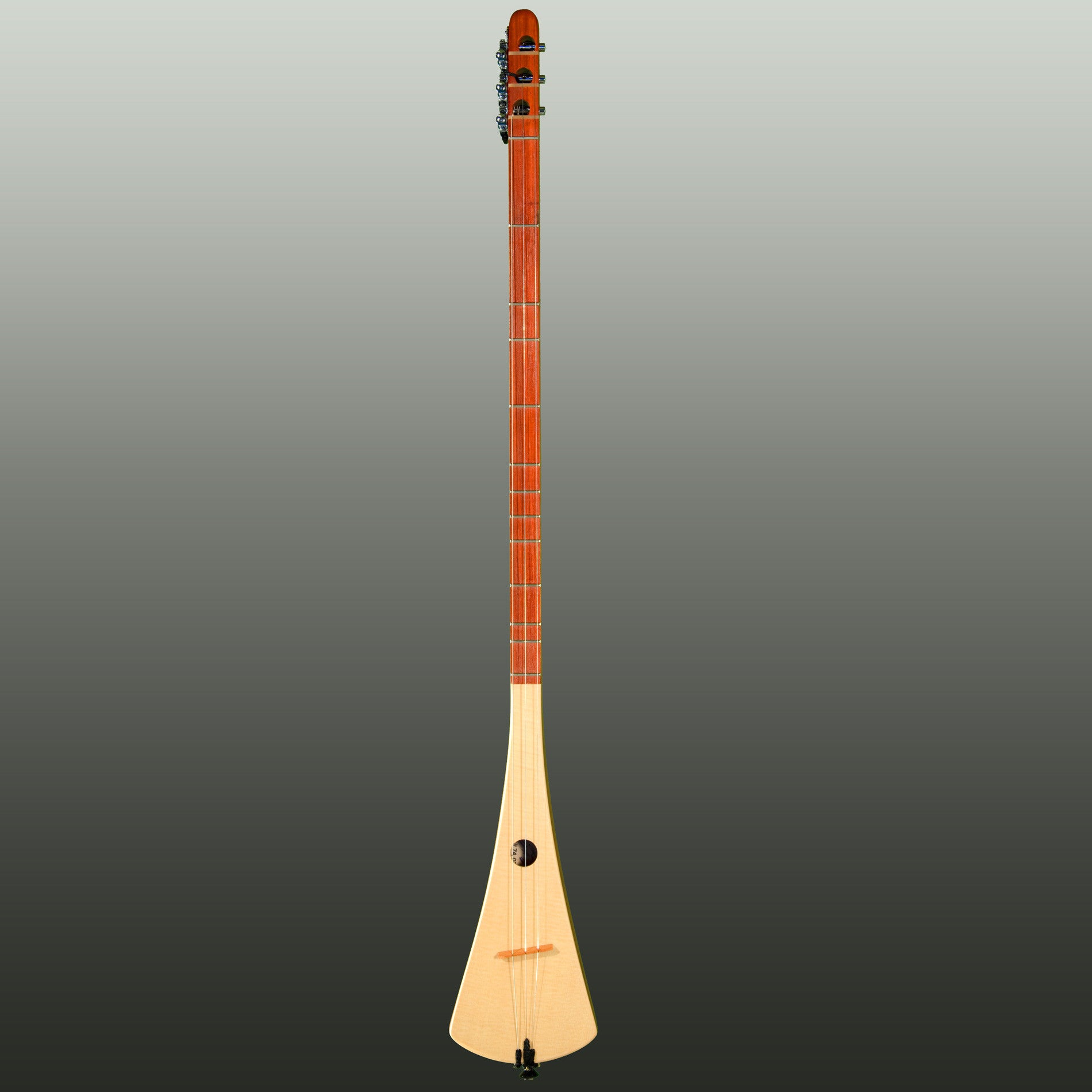 希少☆ストラムスティック StrumStick 弦 ケース付 弦楽器