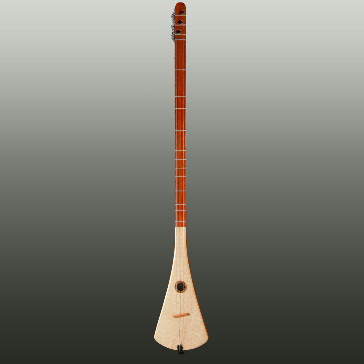 Holiday Special Strumstick 2025